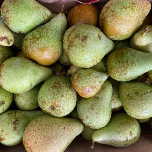 Pirn Abate 1kg