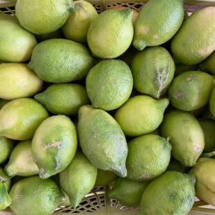 Sidrun 1kg