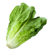 Roheline salat 1tk